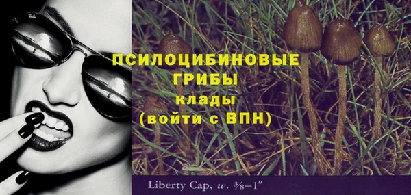 бутират Алексин