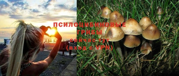 эйфоретик Алексеевка