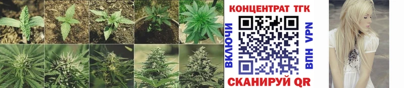 где найти наркотики Буй Дистиллят ТГК гашишное масло