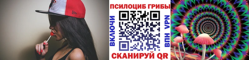 Псилоцибиновые грибы мицелий  Буй 